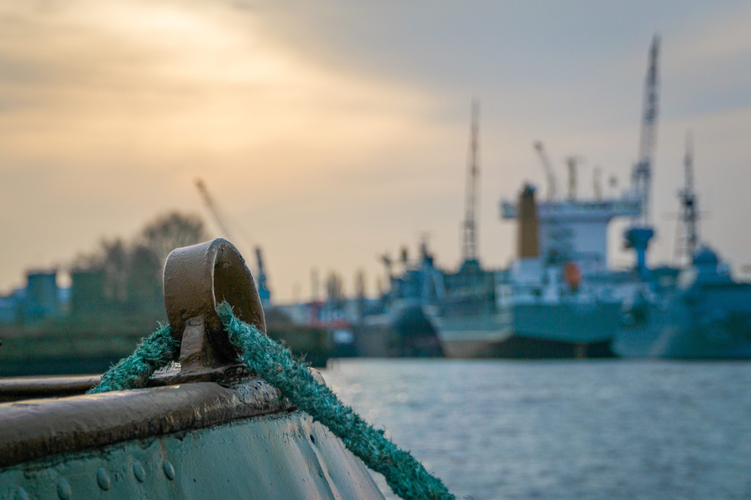 pexels-mali-maeder-70419